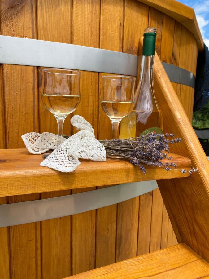 Hotel Casa Chira Vişeu de Sus Zewnętrze zdjęcie