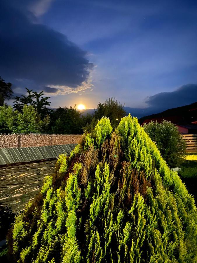 Hotel Casa Chira Vişeu de Sus Zewnętrze zdjęcie