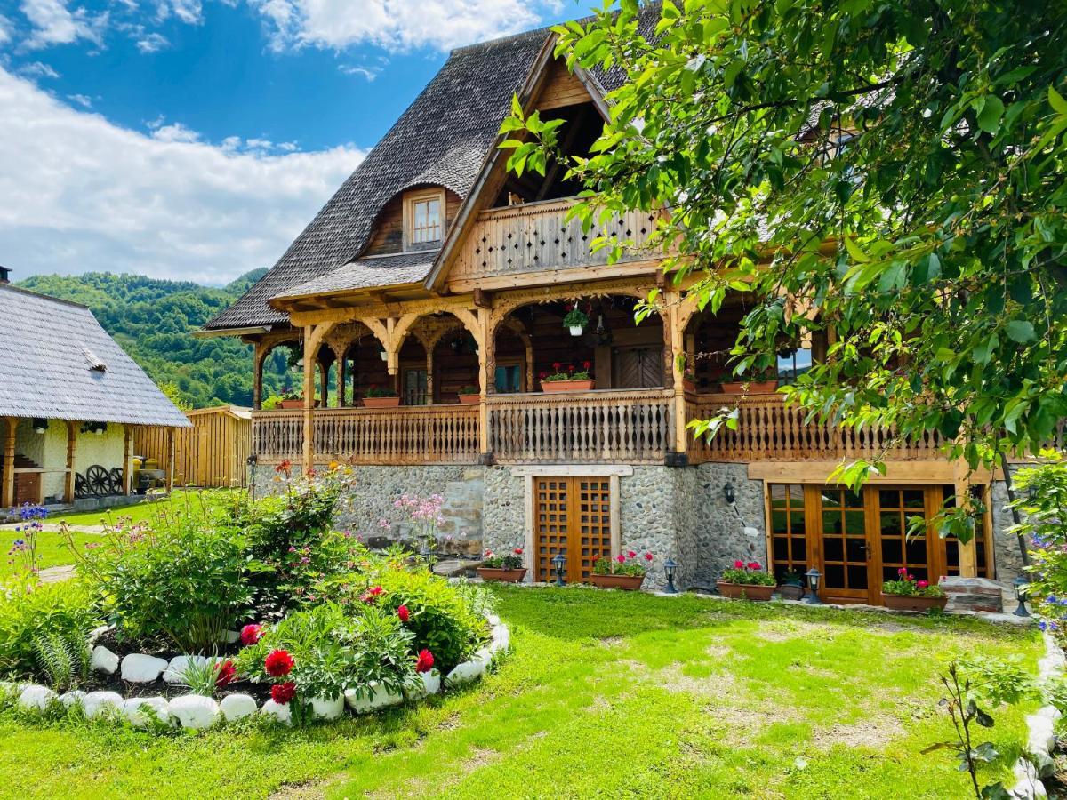 Hotel Casa Chira Vişeu de Sus Zewnętrze zdjęcie