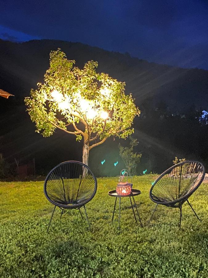 Hotel Casa Chira Vişeu de Sus Zewnętrze zdjęcie