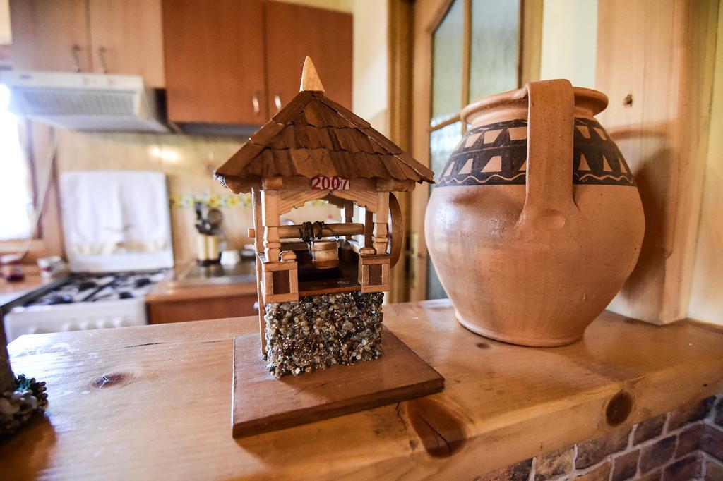 Hotel Casa Chira Vişeu de Sus Zewnętrze zdjęcie