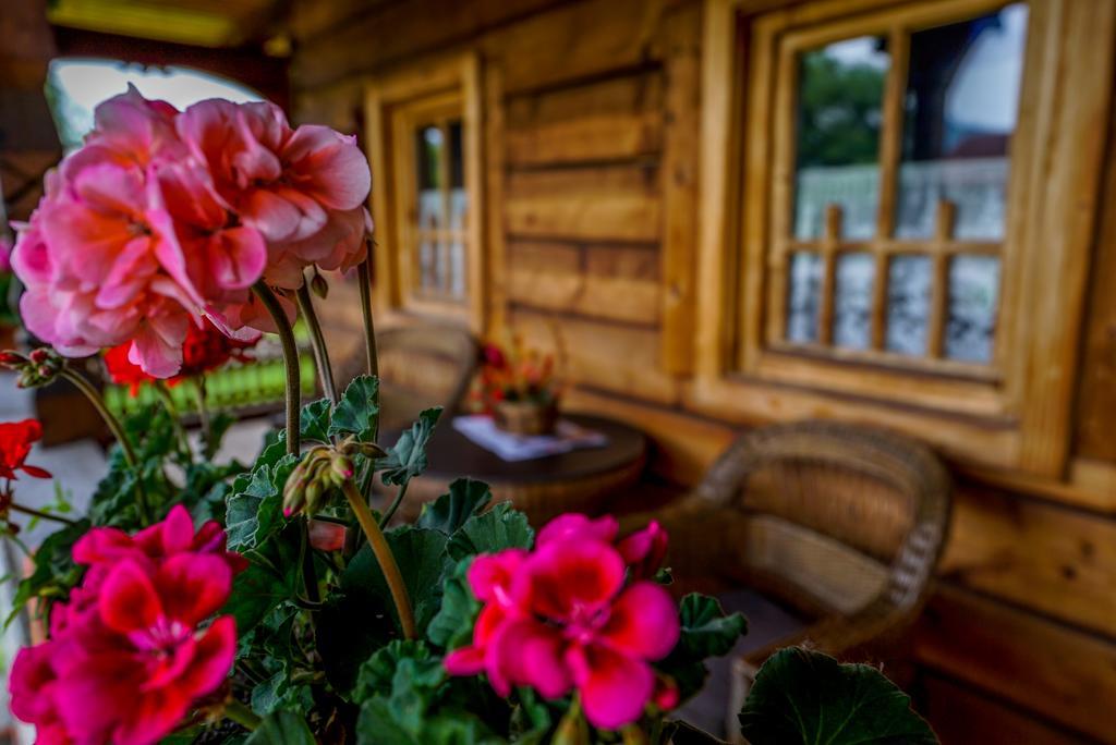 Hotel Casa Chira Vişeu de Sus Zewnętrze zdjęcie