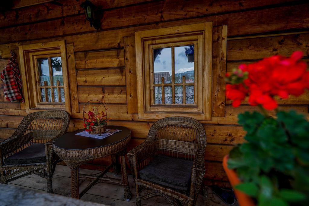 Hotel Casa Chira Vişeu de Sus Zewnętrze zdjęcie
