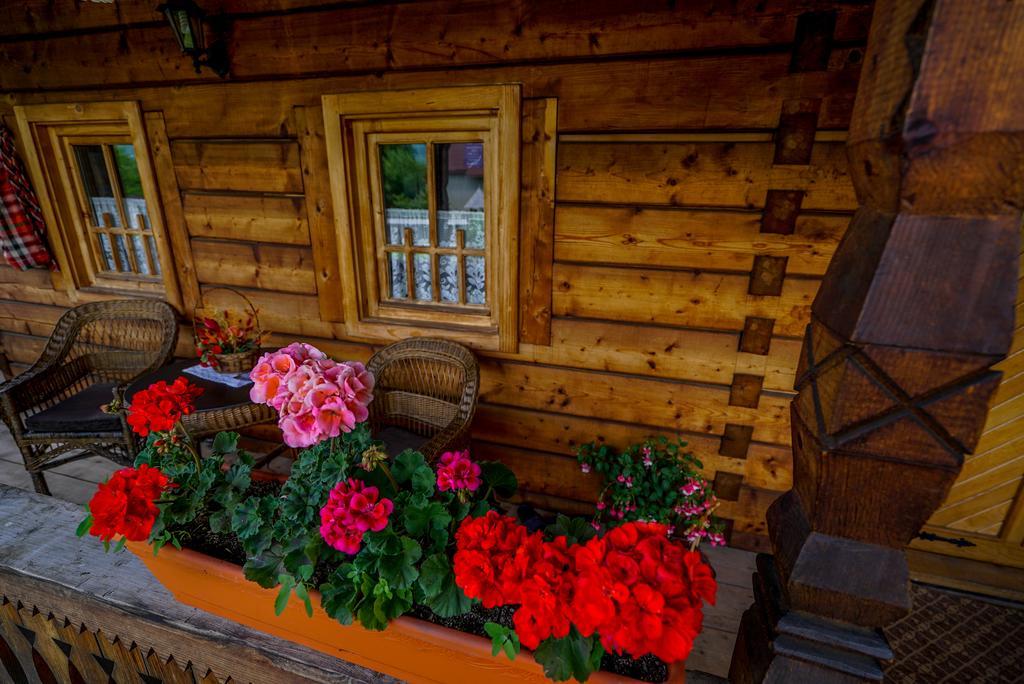 Hotel Casa Chira Vişeu de Sus Zewnętrze zdjęcie