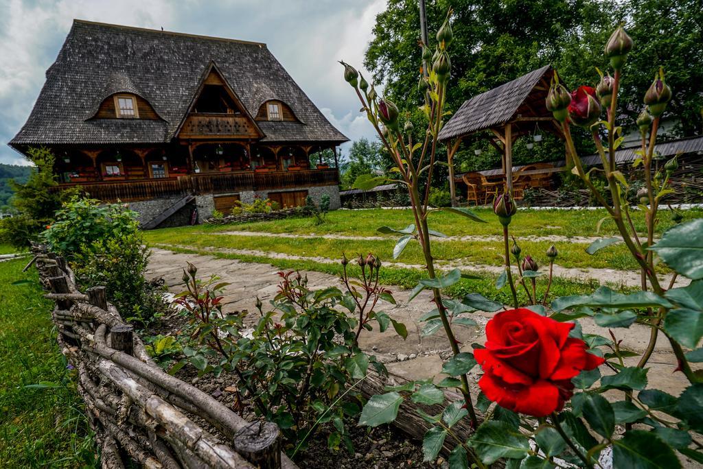 Hotel Casa Chira Vişeu de Sus Zewnętrze zdjęcie